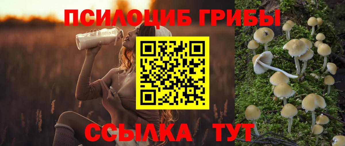 Псилоцибиновые грибы Psilocybine cubensis Нижнеудинск