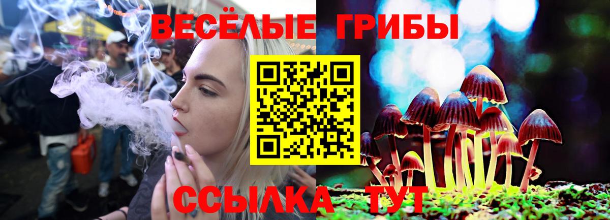 Нижнеудинск  Псилоцибиновые грибы ЛСД  Вход с VPN 